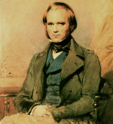 darwin_10.jpg
